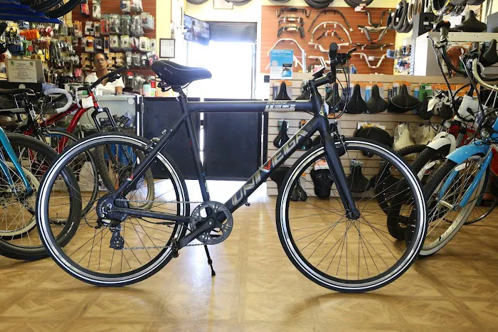 Live 4 Bikes Picture 7