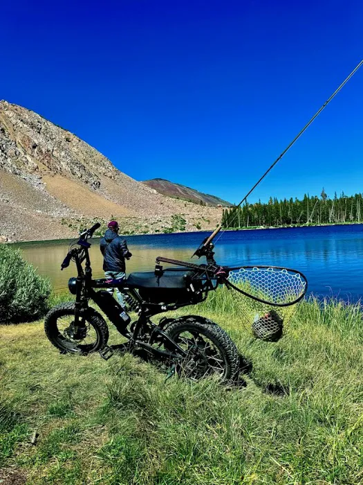 Vulcan Bikes Picture 2