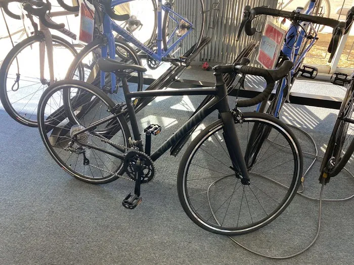 SAFETY CYCLE Picture 7