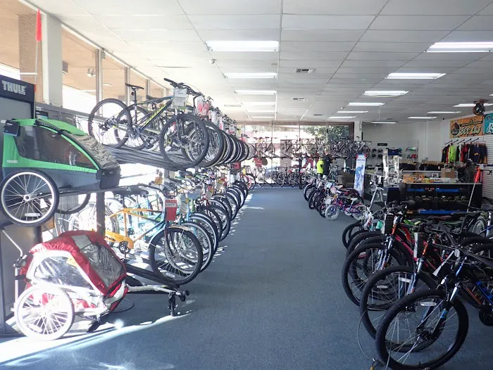 SAFETY CYCLE Picture 9