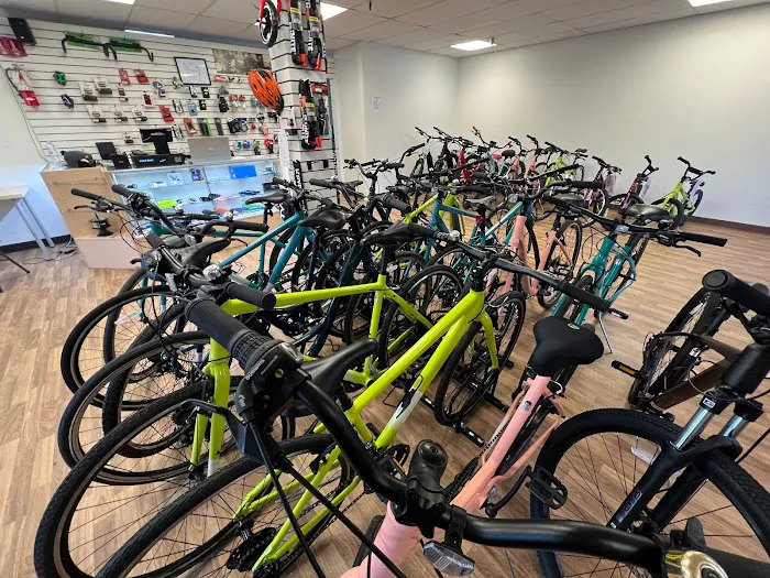Torrance Bikes Picture 7