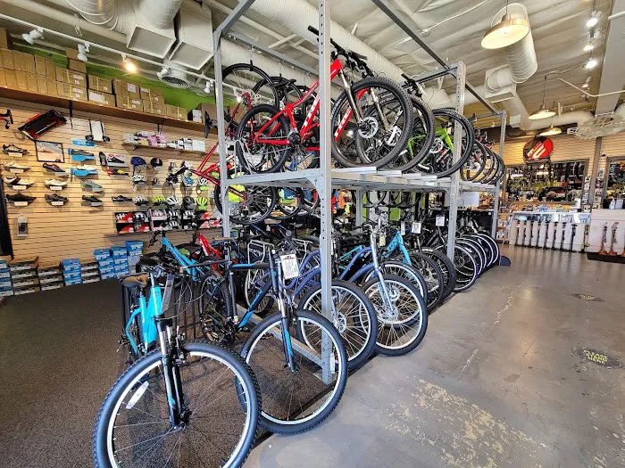 Sprocket Cycles Picture 7