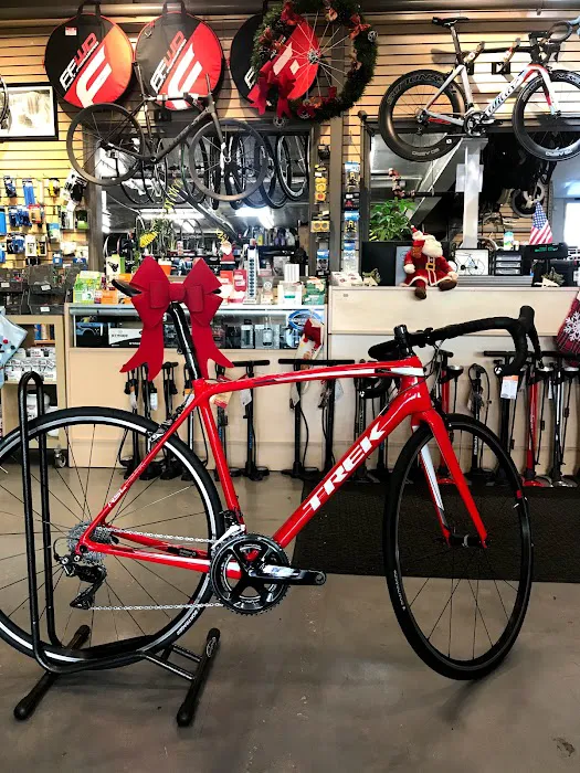 Sprocket Cycles Picture 10