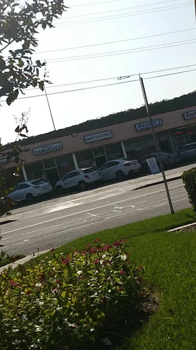 Manny's Cyclery Picture 7