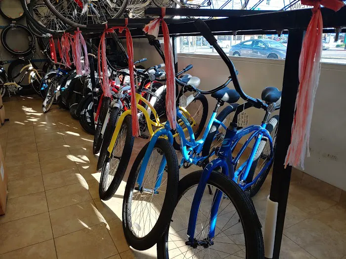 Gilbert's Bicycle Picture 5