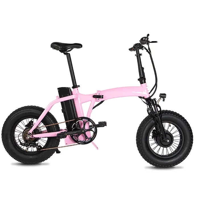Go Ebikes Picture 4