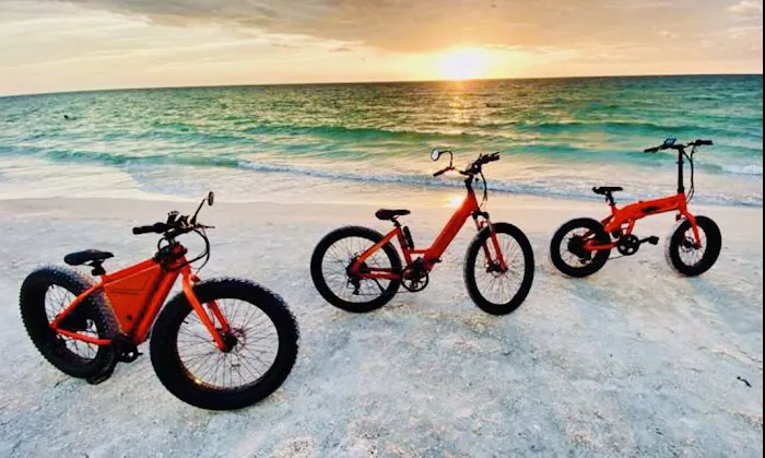 Go Ebikes Picture 3