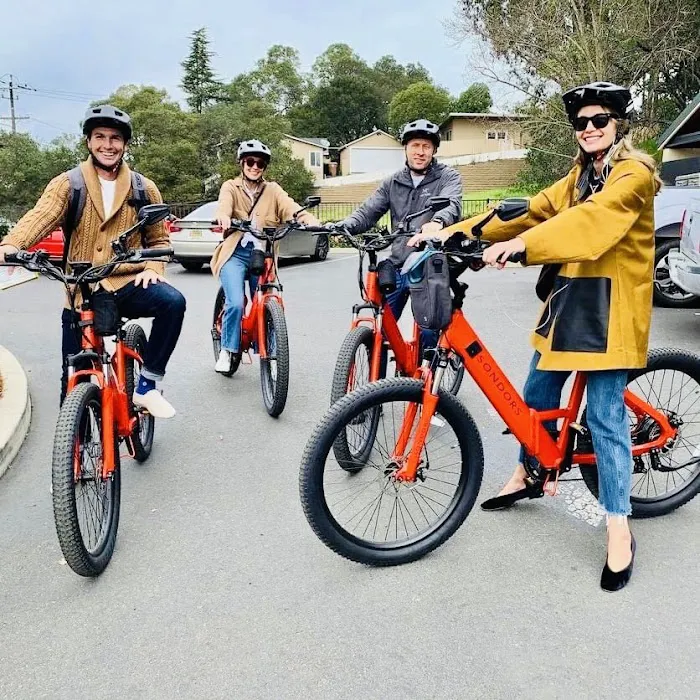 Go Ebikes Picture 5
