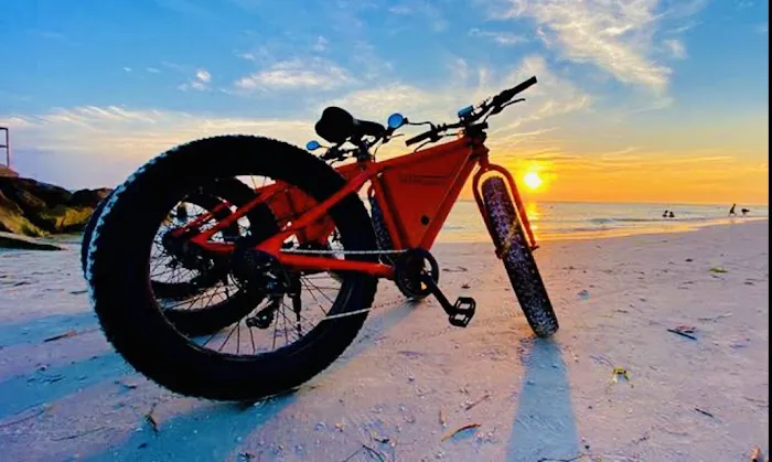 Go Ebikes Picture 9