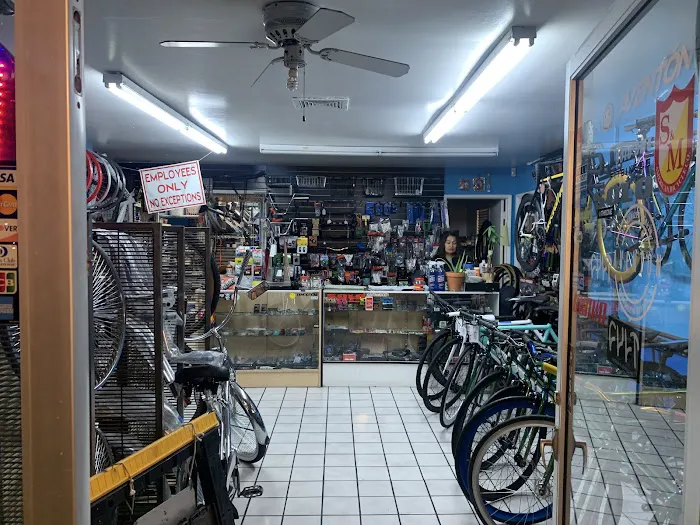 Solo Cycles Picture 4