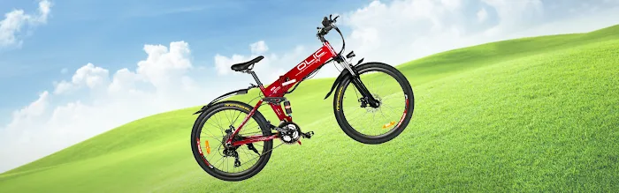 Olic eBike Picture 1