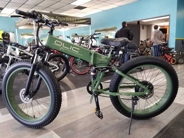 Olic eBike Picture 5