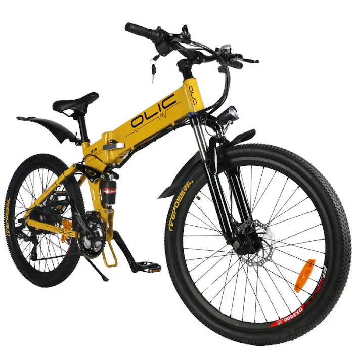 Olic eBike Picture 9