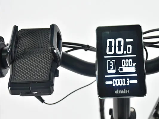 Olic eBike Picture 10