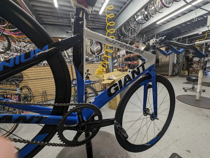 Bicycle Discovery Picture 2