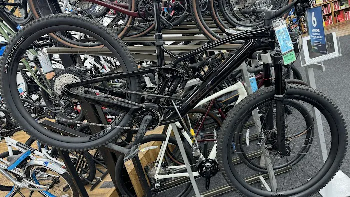 Bicycle Discovery Picture 3