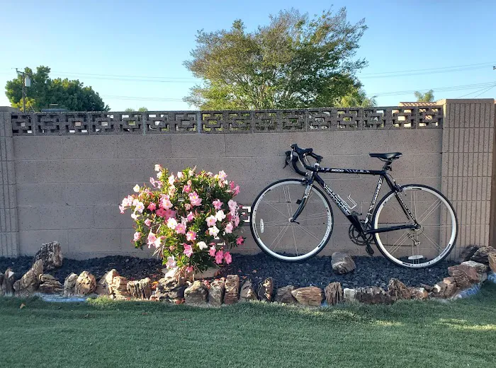 Bicycle Discovery Picture 5