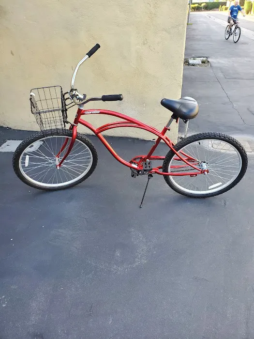 Bicycle Discovery Picture 6