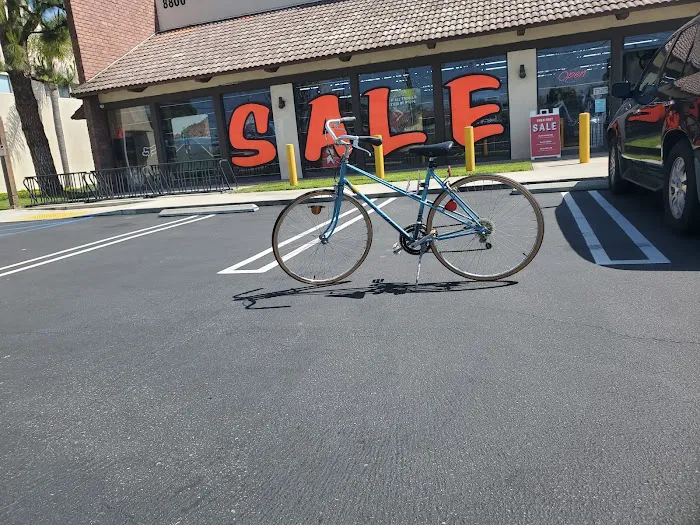 Bicycle Discovery Picture 9