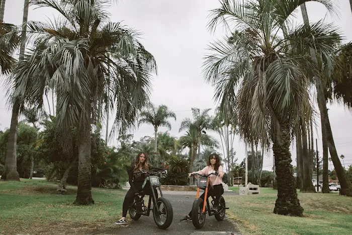PLUM Motorbikes Picture 4