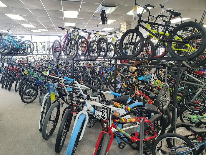 Pats 605 Cyclery Picture 9