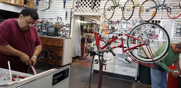 Big Wheel Bicycles Picture 6