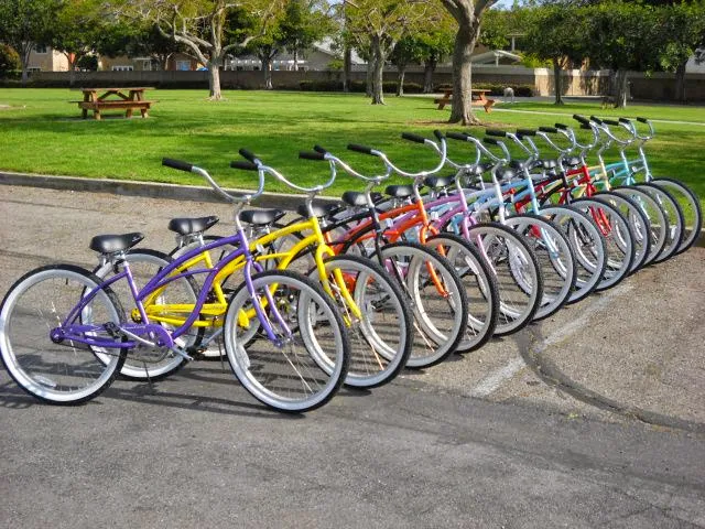 The Beach Cruiser Warehouse Picture 1