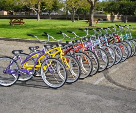 The Beach Cruiser Warehouse