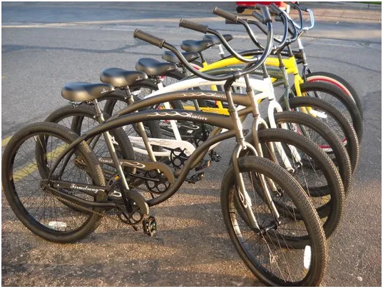 The Beach Cruiser Warehouse Picture 6