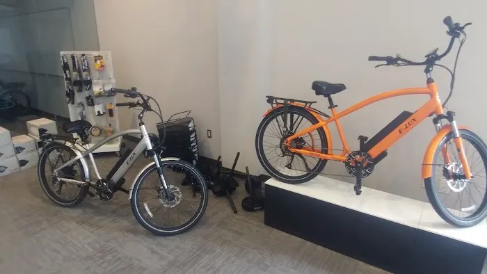 E-LUX Electric Bikes Picture 8