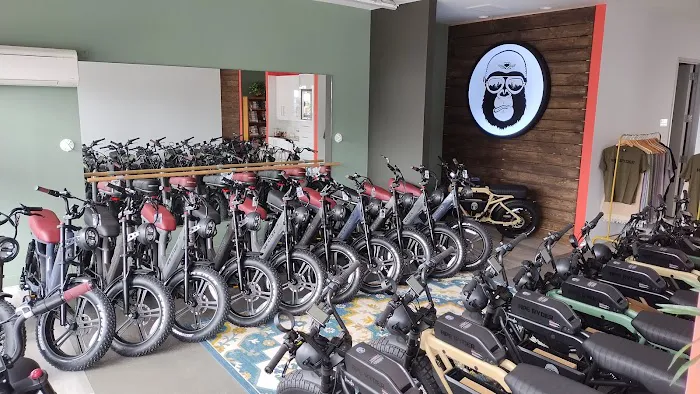 Ape Ryder Hermosa E-Bike Picture 4