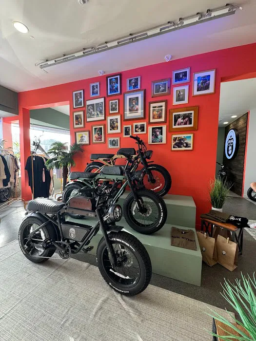 Ape Ryder Hermosa E-Bike Picture 6