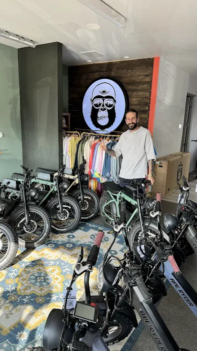 Ape Ryder Hermosa E-Bike Picture 8