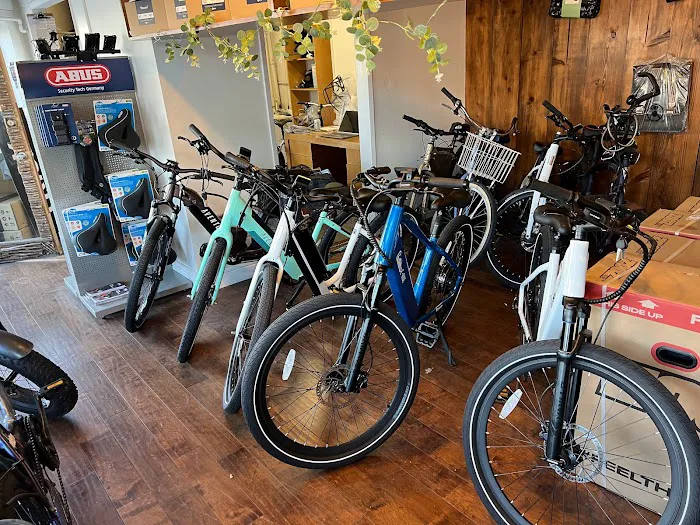 Trick eBikes Picture 2