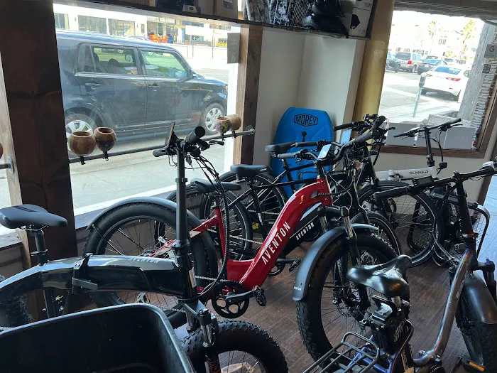Trick eBikes Picture 6