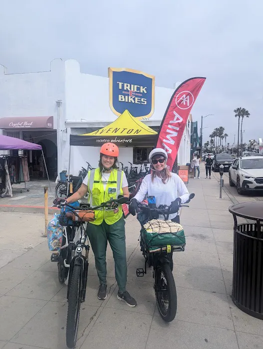 Trick eBikes Picture 5
