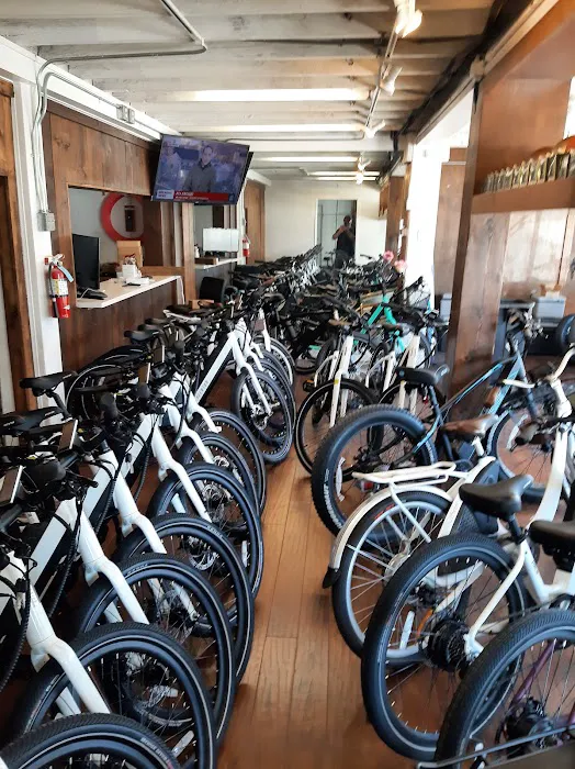 Trick eBikes Picture 8