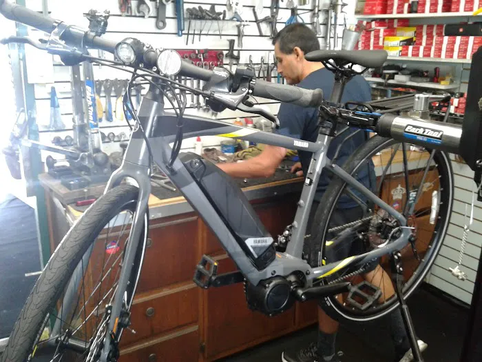 The Old Bike Shop Picture 8