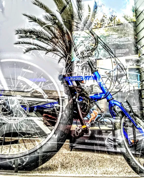 The Old Bike Shop Picture 9