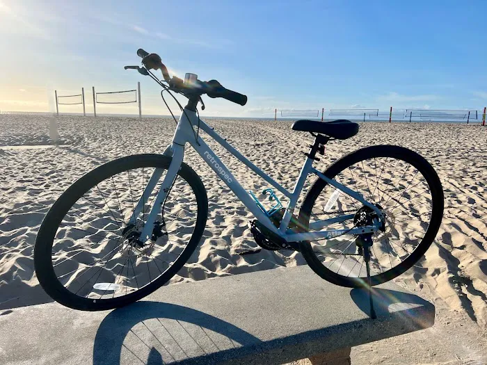 Next Adventure Bikes & E-Bikes Picture 8