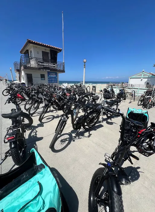 Next Adventure Bikes & E-Bikes Picture 6