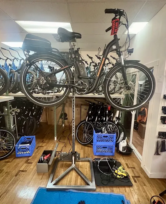 Next Adventure Bikes & E-Bikes Picture 9