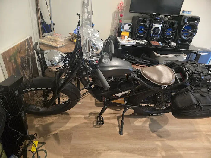 La Ebike Picture 2