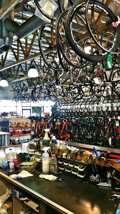 Helen's Cycles Picture 2