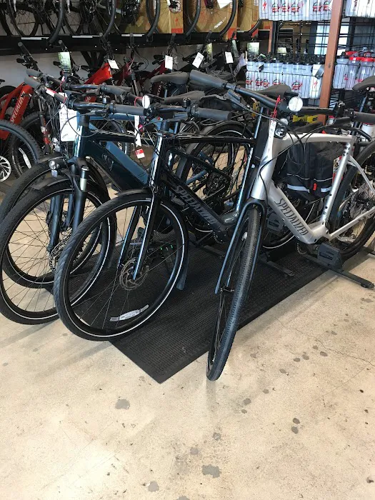 South Bay Cycle Picture 3