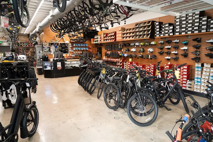 South Bay Cycle Picture 5