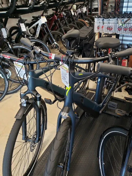 South Bay Cycle Picture 7