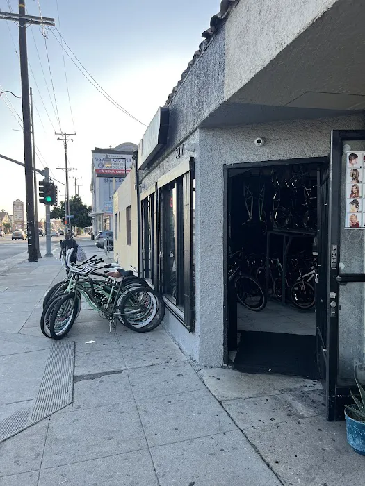 Mr. Bike Shop Picture 3
