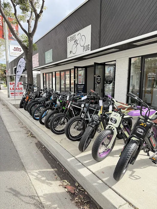 Ebikes Plug Picture 3