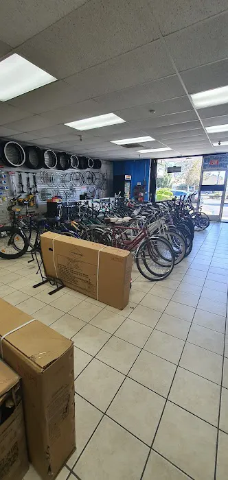 The Family Bike Shop Picture 3